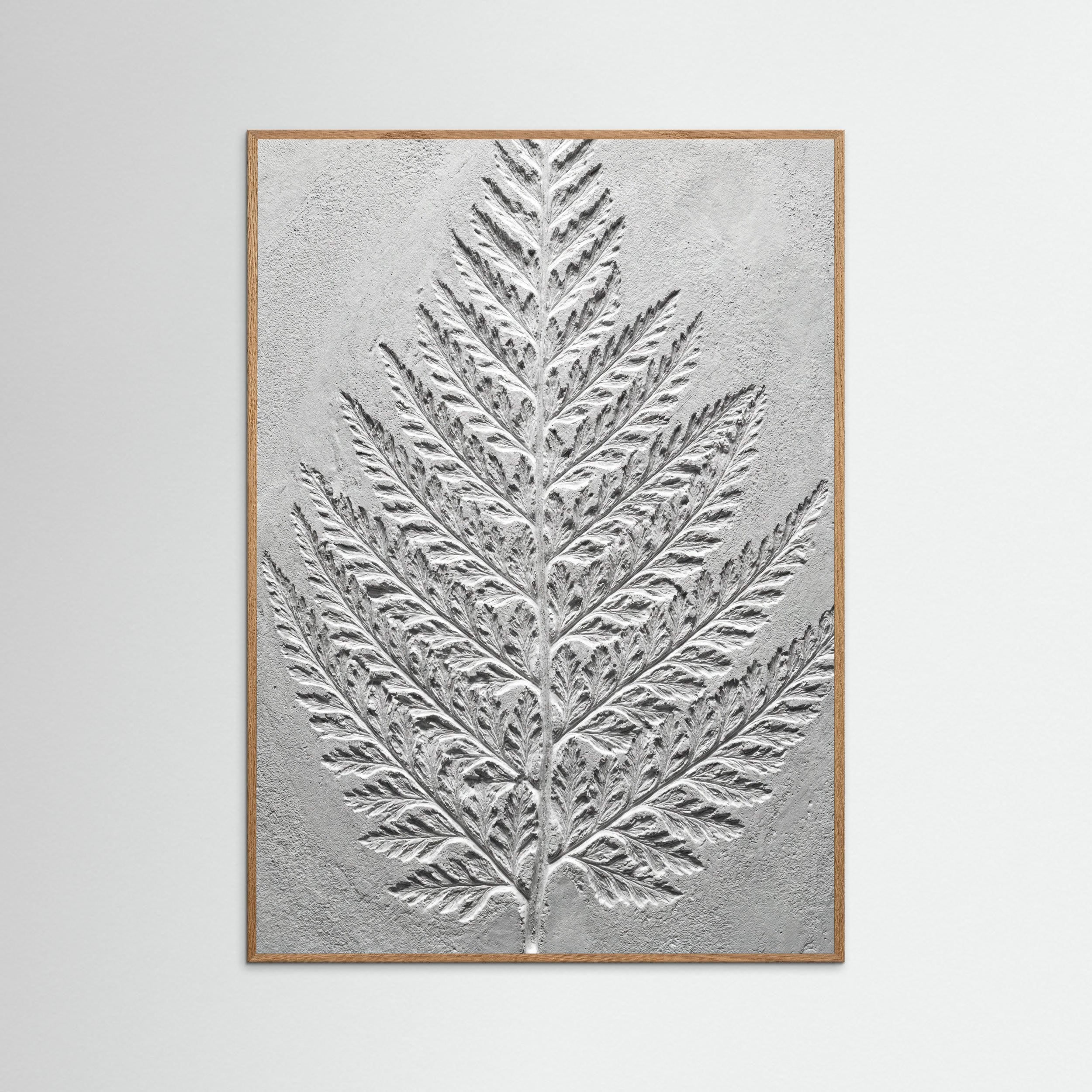 Oak Nature Nautilus Relief