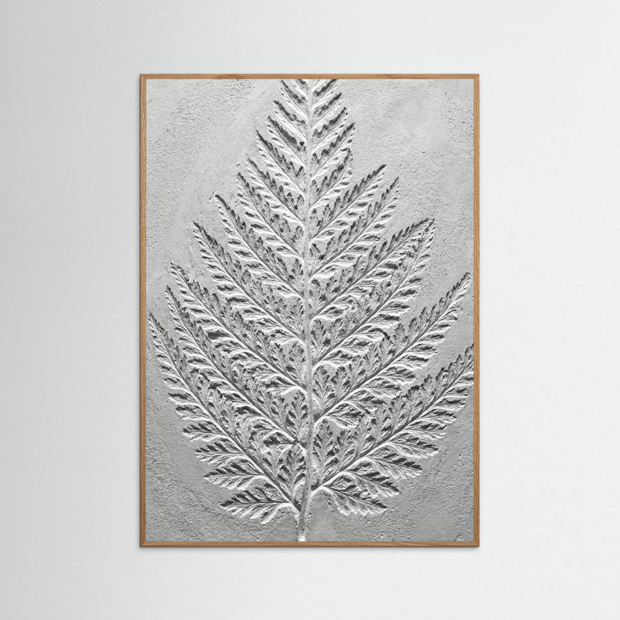 Nautilus Relief