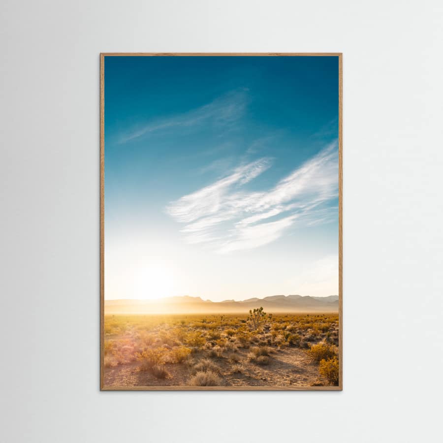 Plakat Nevada Desert Sunrise