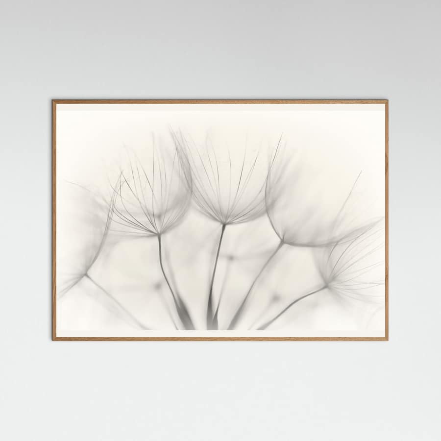 No title Poster – plakat og kunsttryk