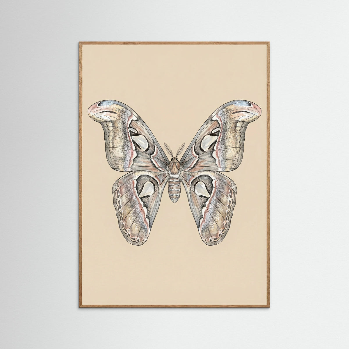 Oak Nature Nocturnal Elegance