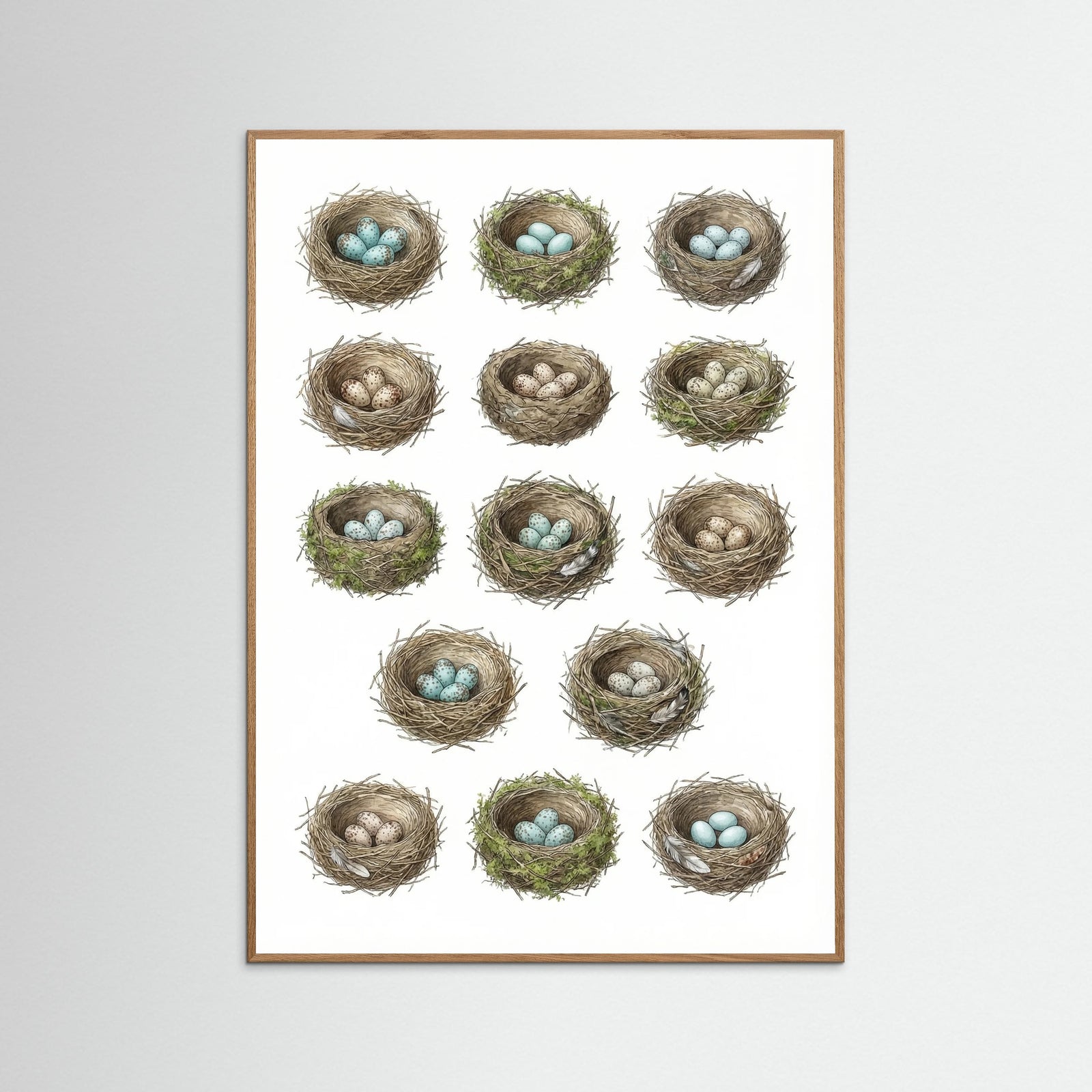 Oak Nature Nordic Avian Studies