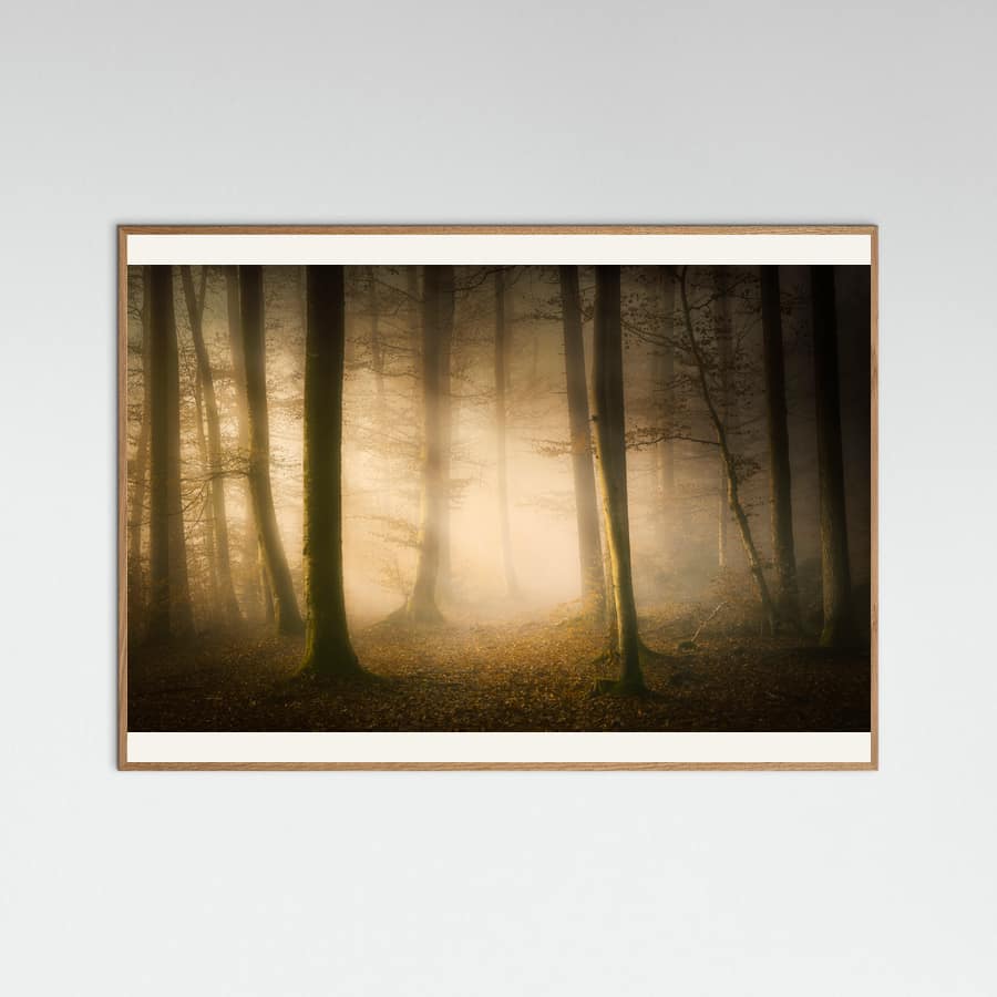 Poster November Whispers – poster e stampa artistica