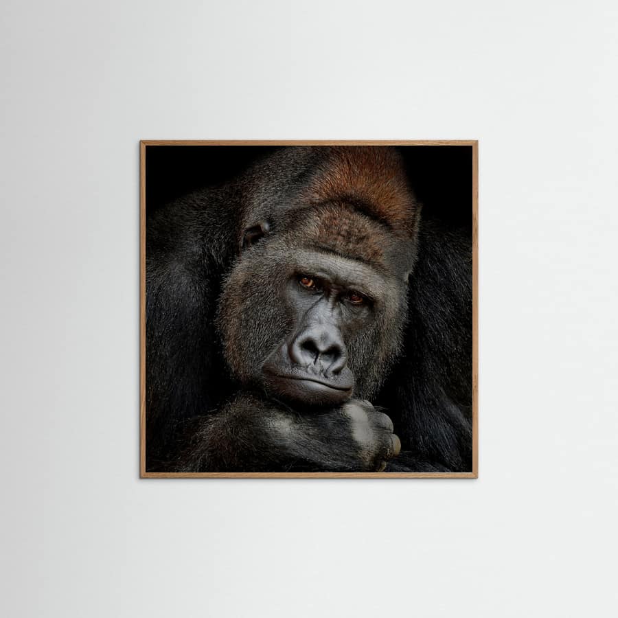 ONE MOMENT IN CONTACT Poster – poster and art print