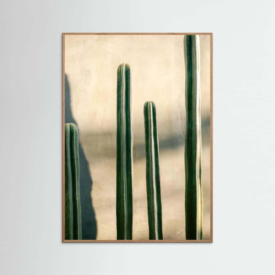 Oaxaca Shades of Green | Mexico travel photography Poster