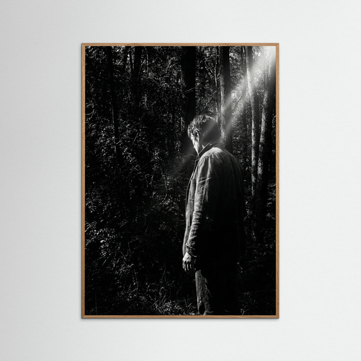 Oak Nature Obscured Presence