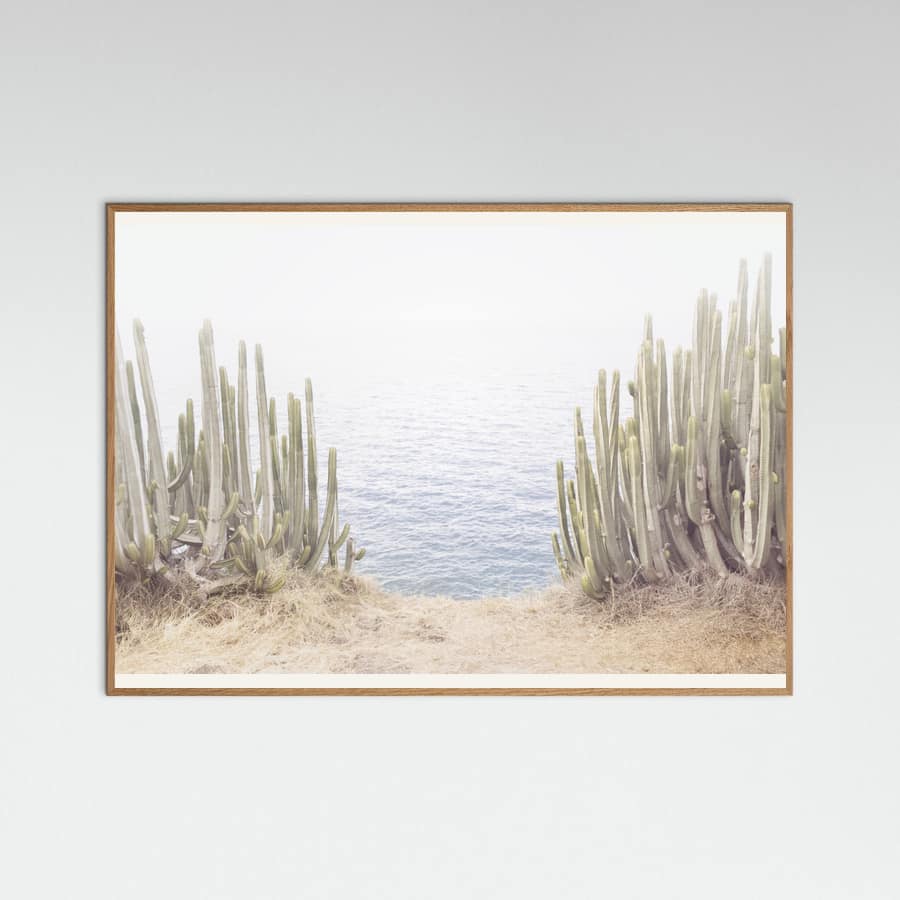 Ocean Cactus Poster