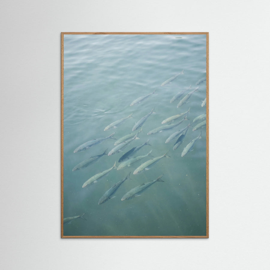 Oceans Call