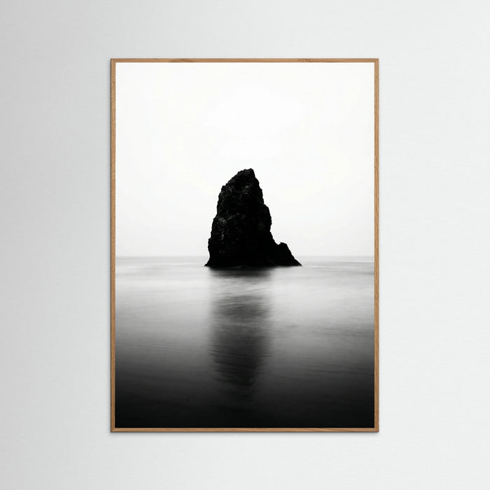 Oak Nature Oceans Edge