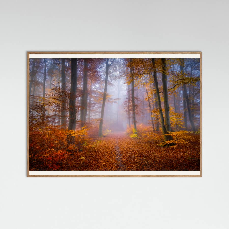October Trail Poster