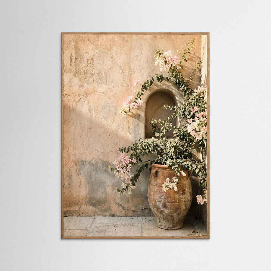 Olive Archways