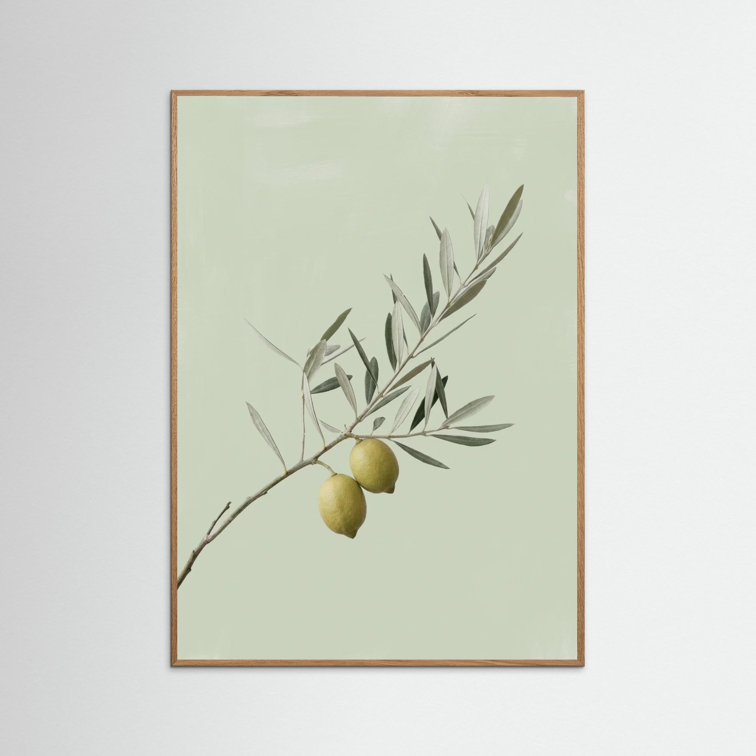 Oak Nature Olive Branch Serenity
