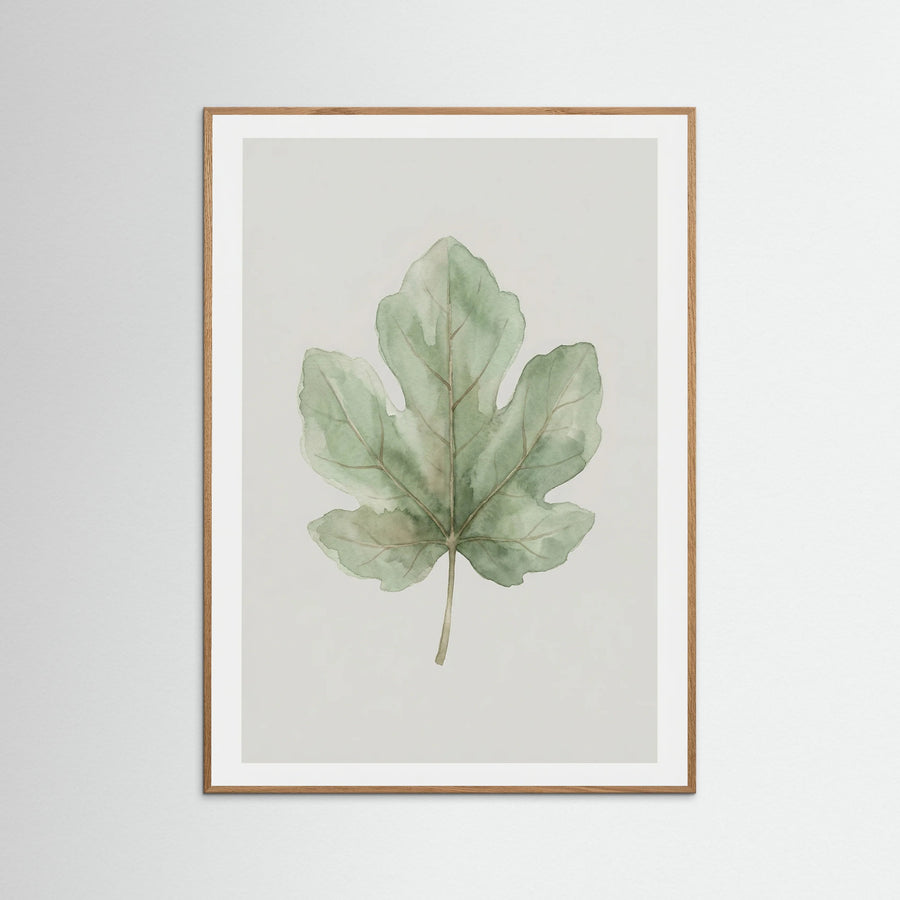Olive Branch Study