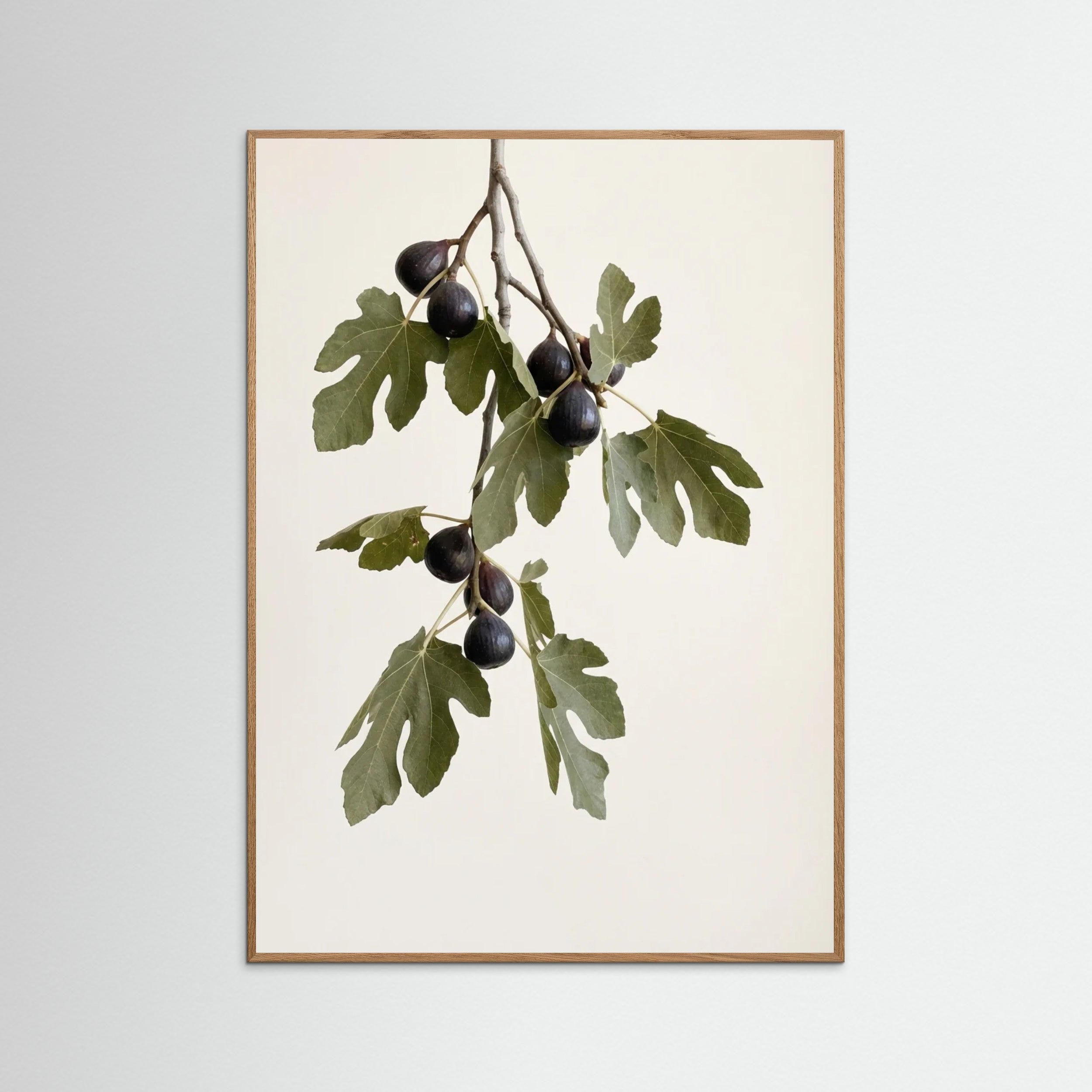 Oak Nature Olive Serenity