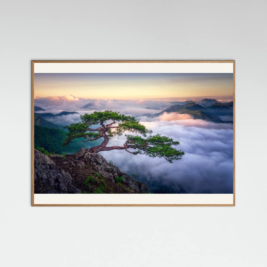 On the rock Poster