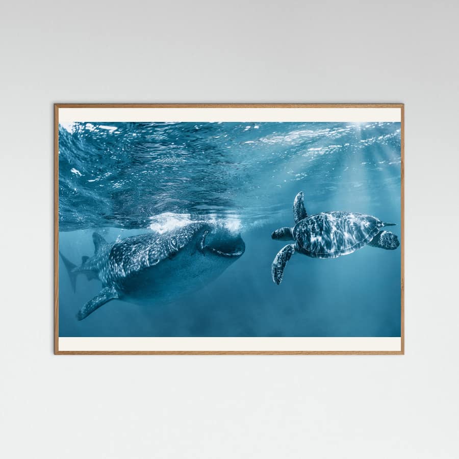 Poster Once at the ocean