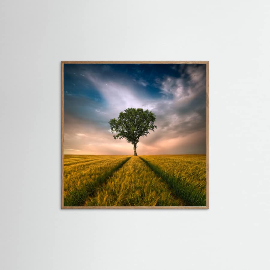 One Poster – poster and art print