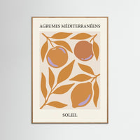 Orange Blossom Serenity