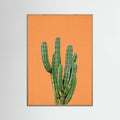 Oak Nature Orange Cactus Poster