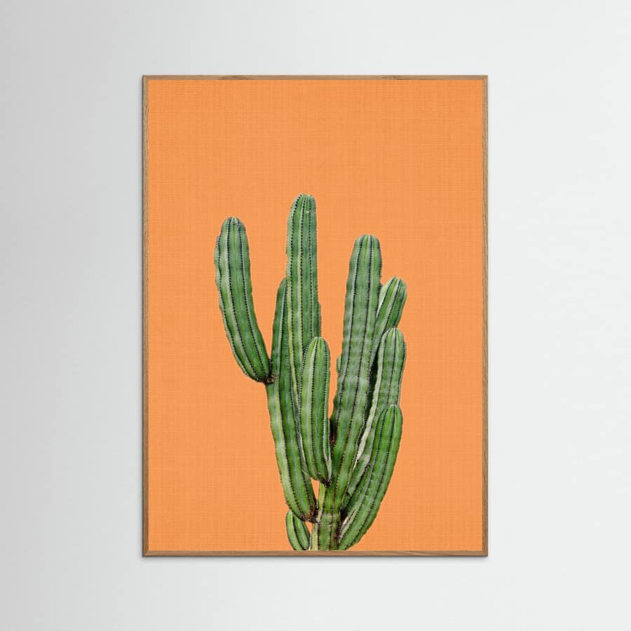 Poster Orange Cactus