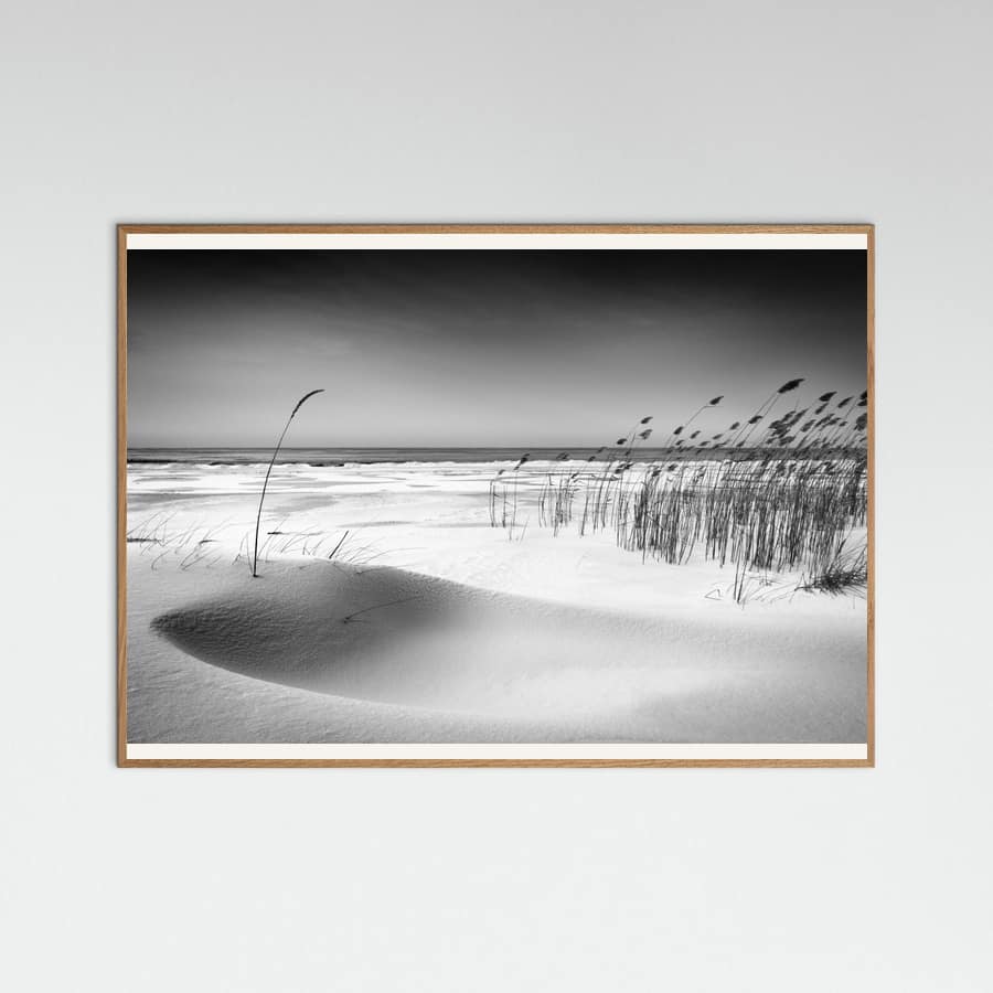 Orchestra Poster – poster en kunstdruk