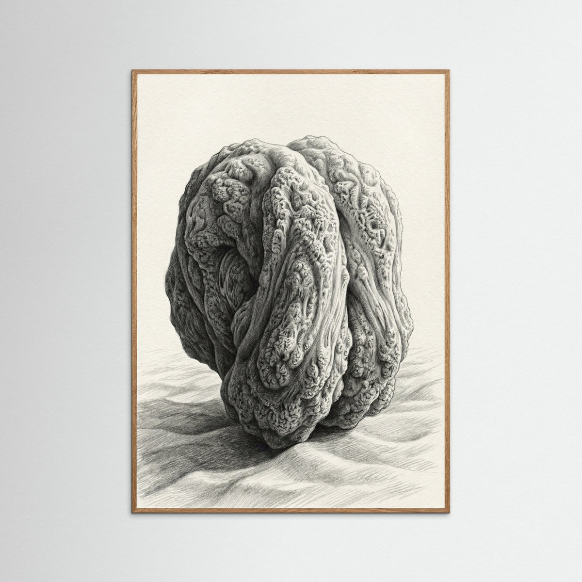 Oak Nature Organic Cluster