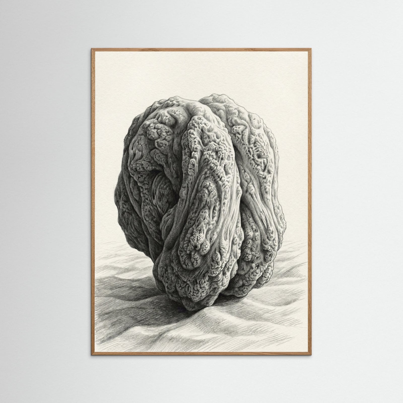 Oak Nature Organic Cluster