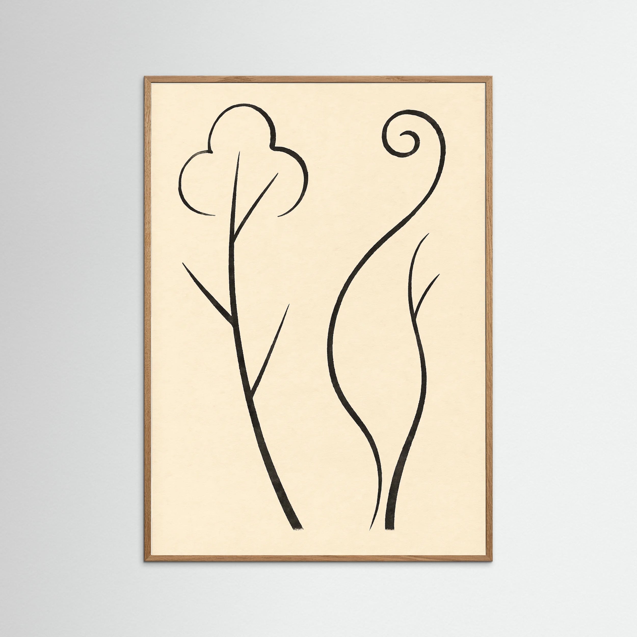 Oak Nature Organic Curves