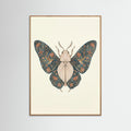 Oak Nature Ornate Silk Moth