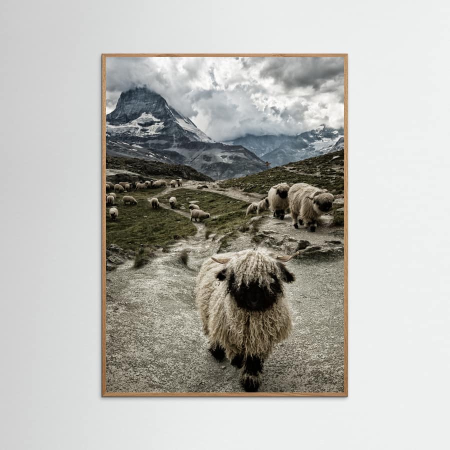 Poster Out of my way – poster e stampa artistica