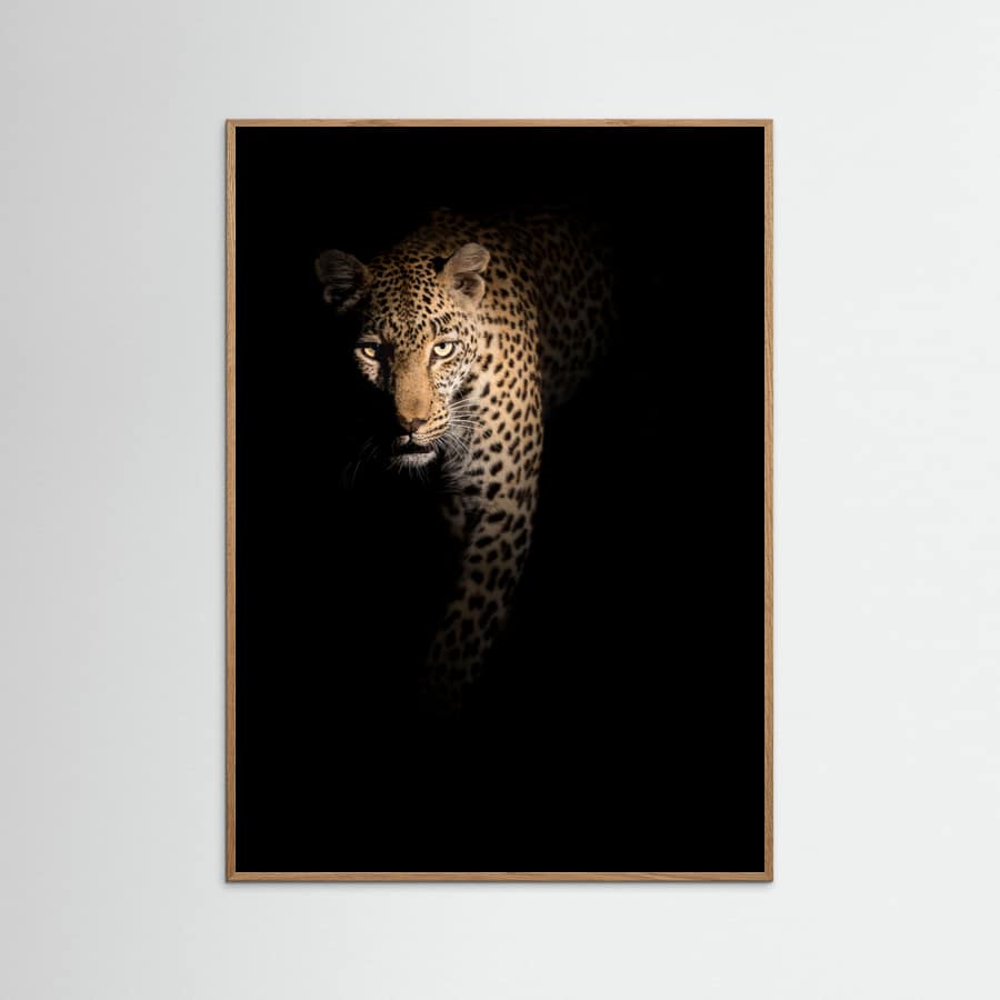 Poster Out of the darkness