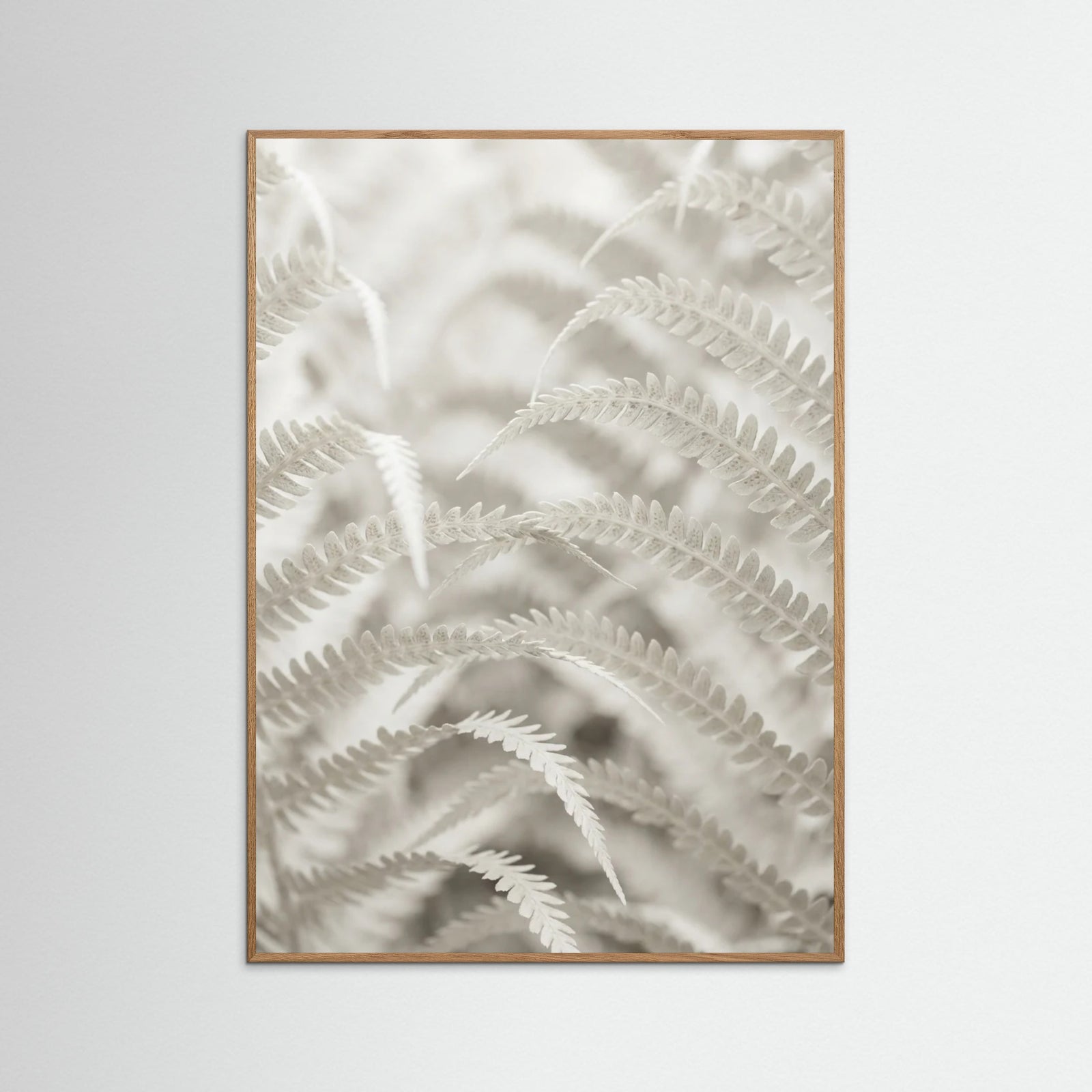 Oak Nature Pale Elegance