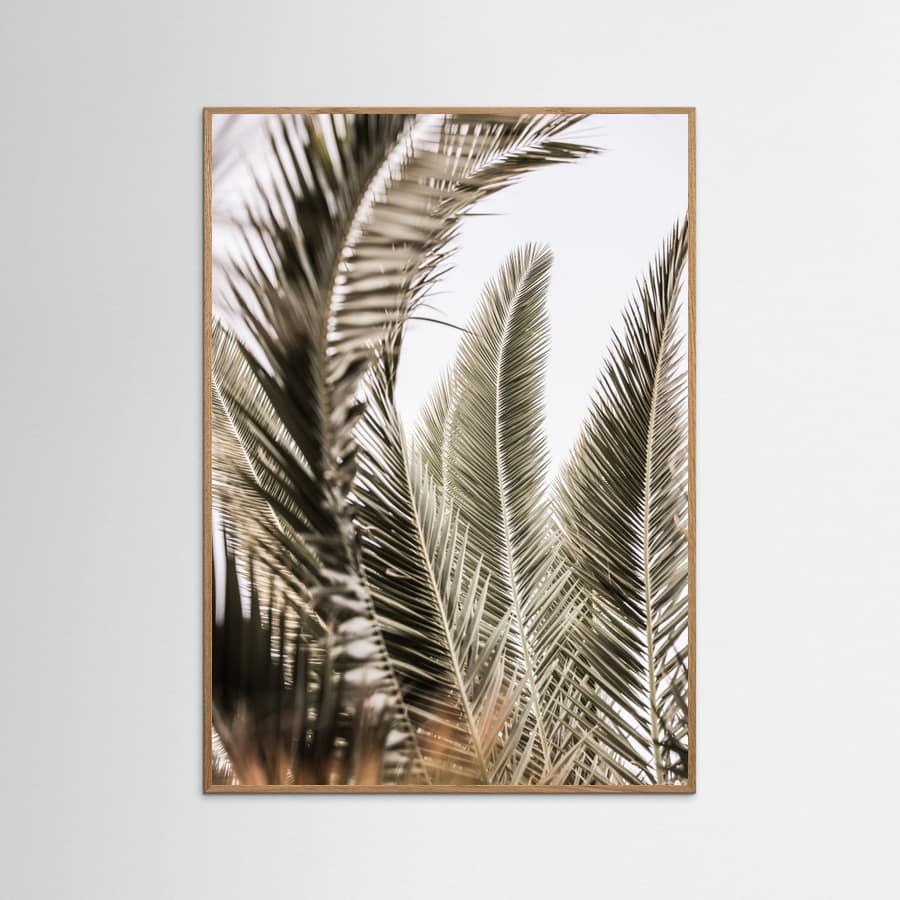Palm Love Poster – plakat og kunsttryk