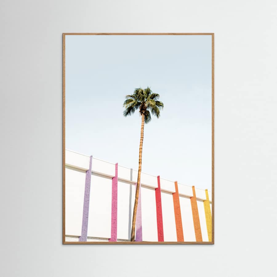 Poster Palm Spring Colors 2