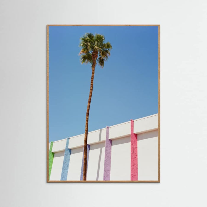 Oak Nature Palm Springs II Poster