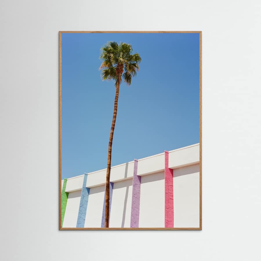 Palm Springs II Poster