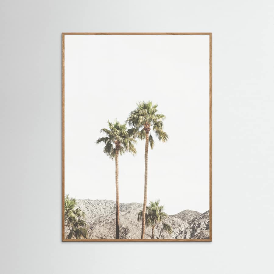 Poster Palm Springs Palms