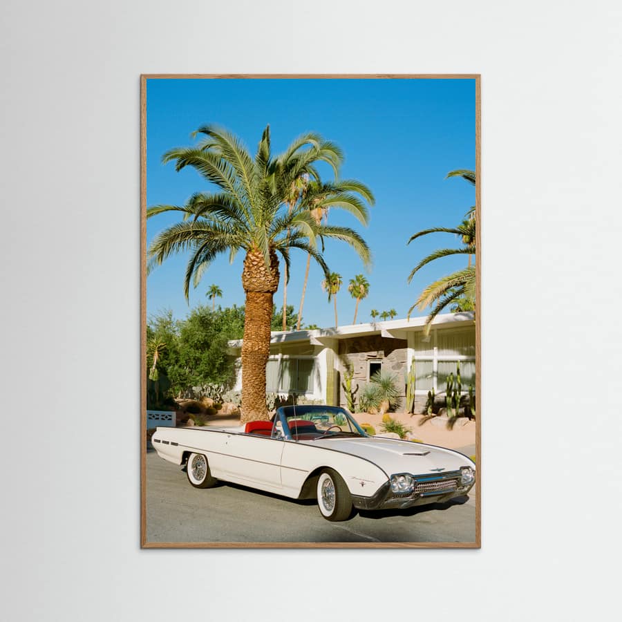 Poster Palm Springs Thunderbird