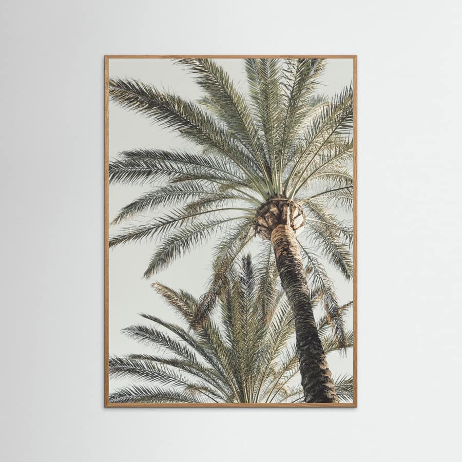 Palm_005 Poster
