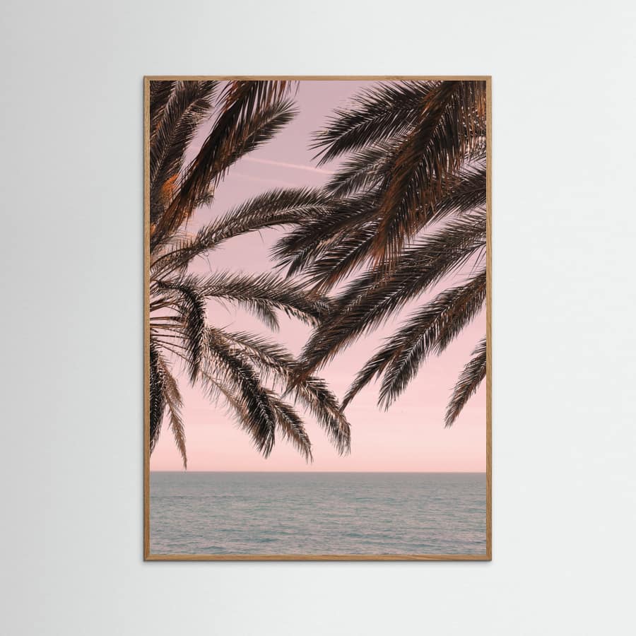 Plakat Palm_011