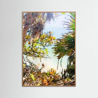 Oak Nature Palms In The Sky Poster