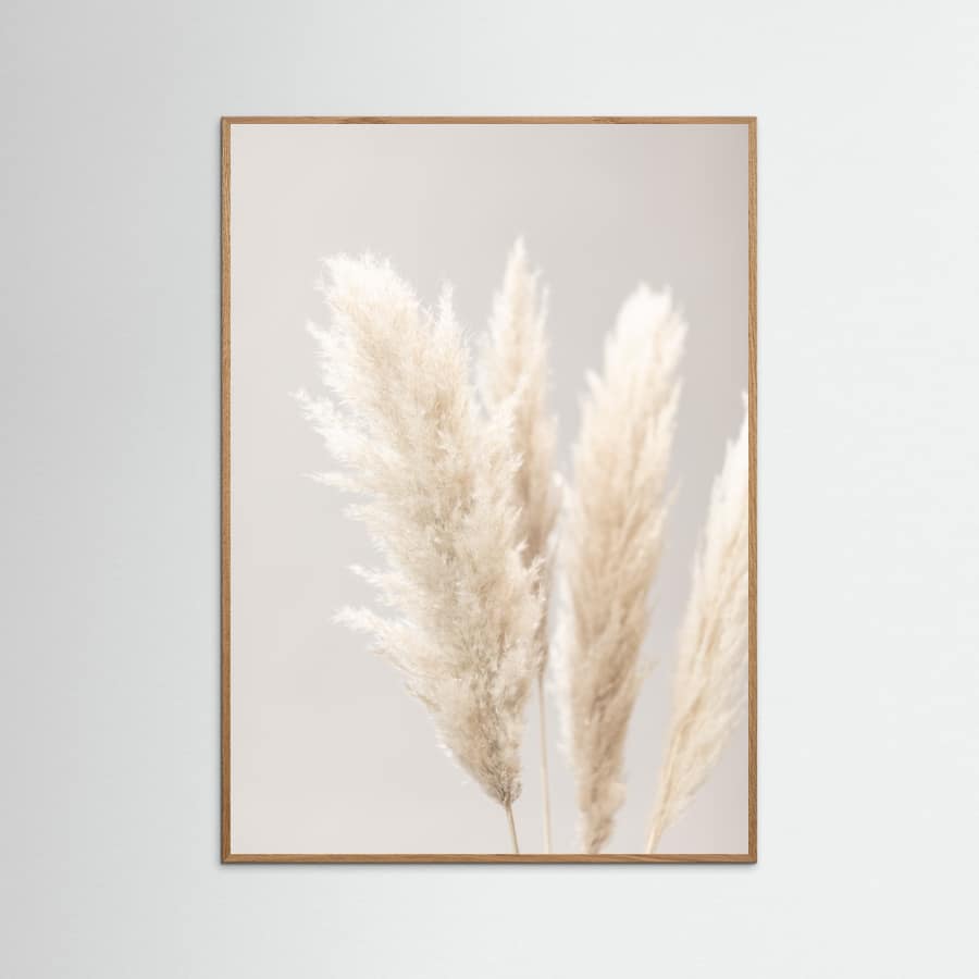 Pampas Grass Grey 02 Poster – Poster und Kunstdruck