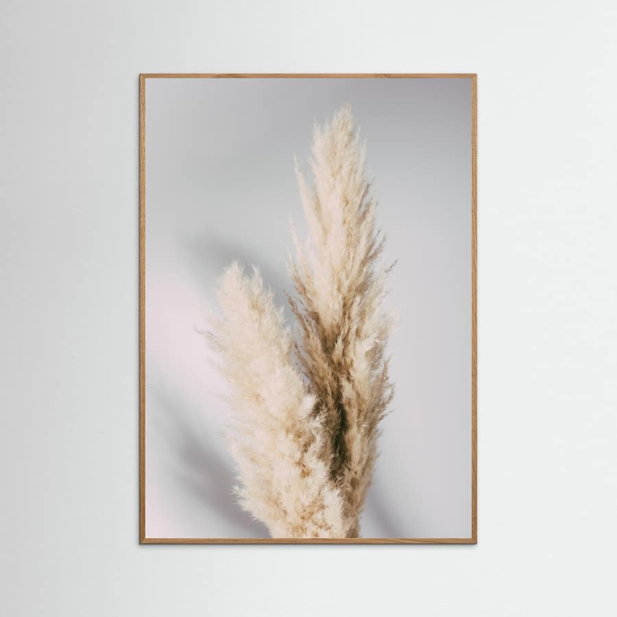 Pampas Grass Grey Poster