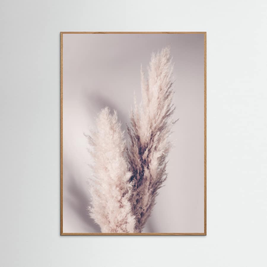 Pampas Grass Poster – poster and art print