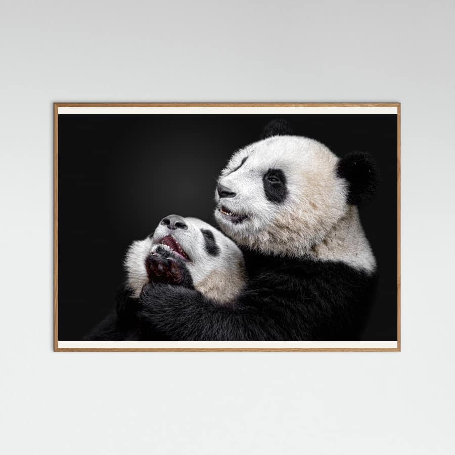 Pandas Poster