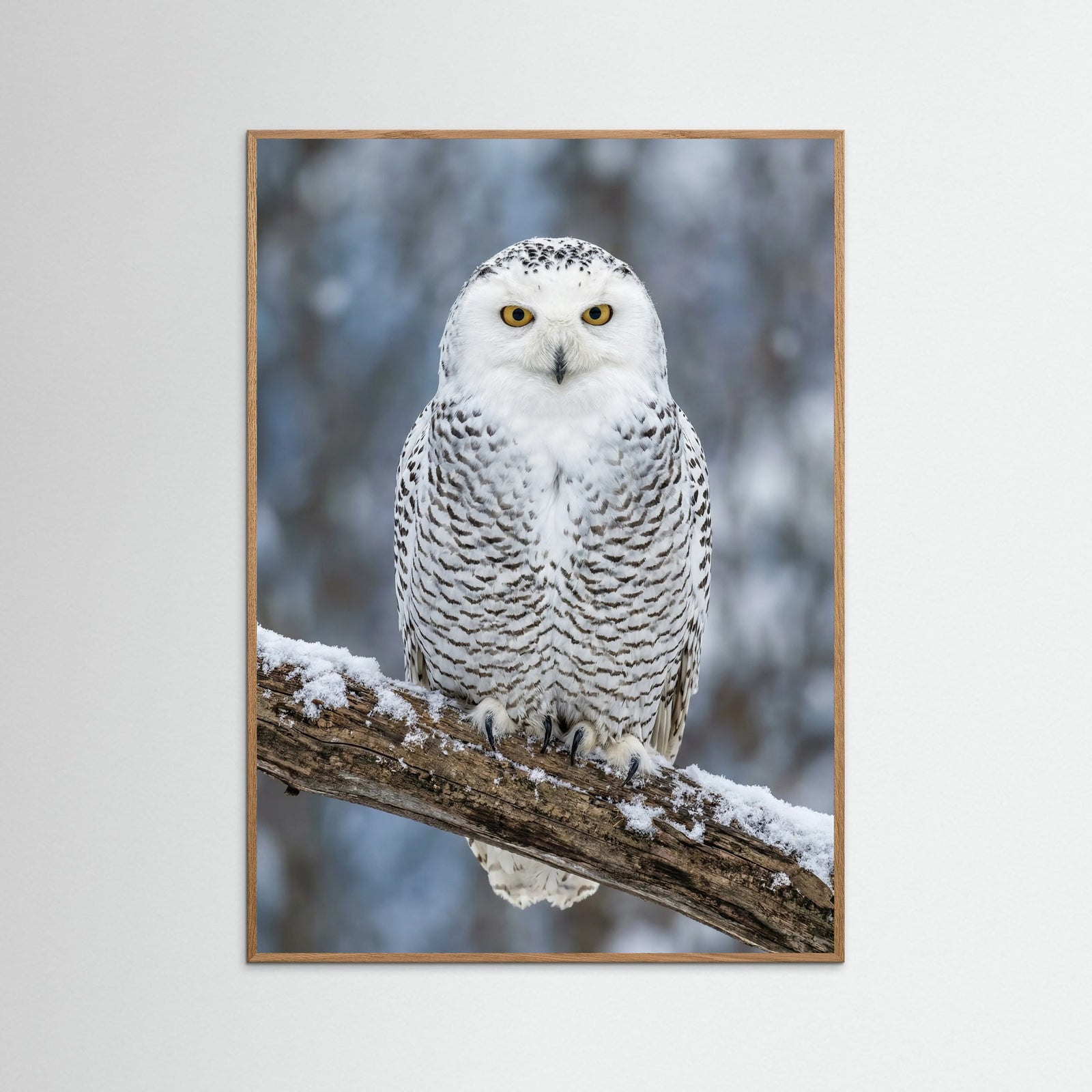 Oak Nature Pandas Serenity