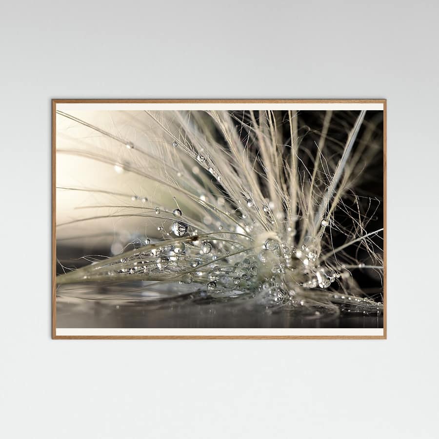 Pearls Poster – plakat og kunsttryk