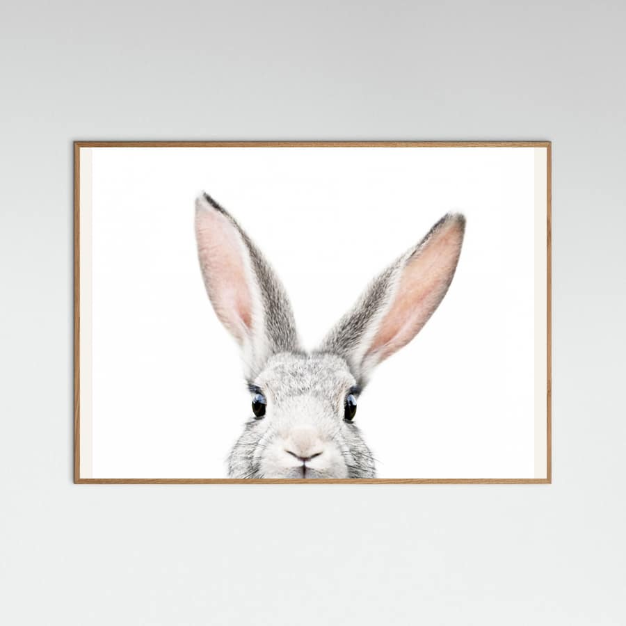 Plakat Peeking Bunny