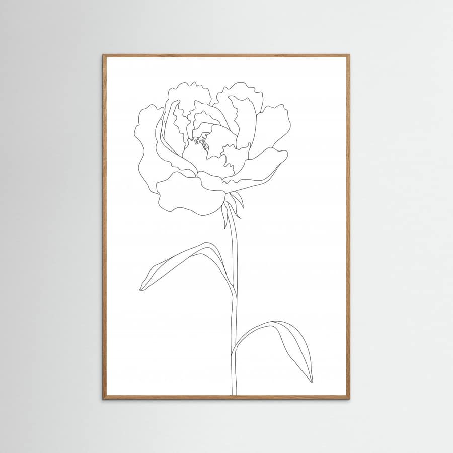 Peony Lines Poster