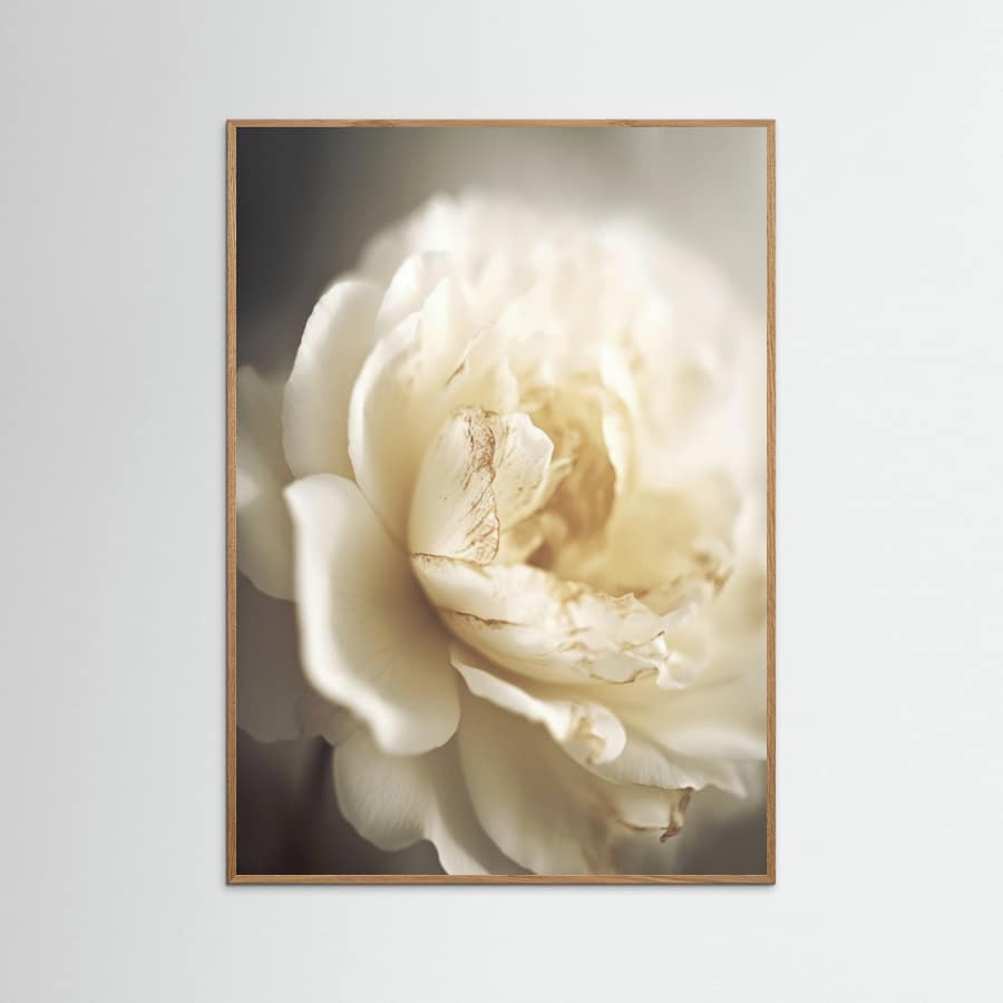 Peonyinsoftlight Poster – poster and art print